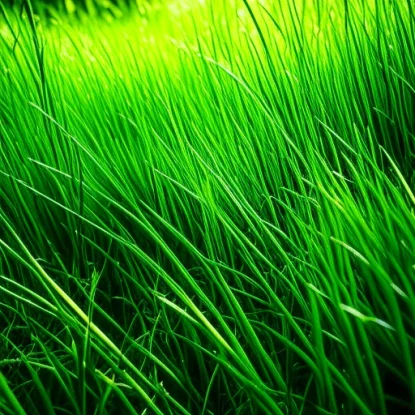 10 толкований снов о зеленой траве